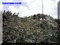 SAS--030-web.jpg
