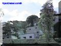 SAS--039-web.jpg