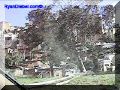 SAS--040-web.jpg