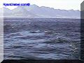 SAS--007-web.jpg