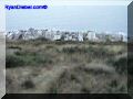 SAS--054-web.jpg