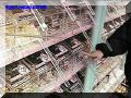 SAS--071-web.jpg