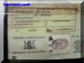 SAS--053-web.jpg