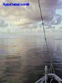 SAS--032-web.jpg