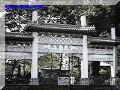 SAS--014-web.jpg