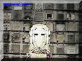SAS--017-web.jpg