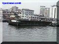 SAS--023-web.jpg