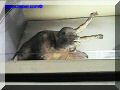 SAS--032-web.jpg