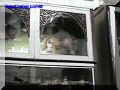 SAS--037-web.jpg