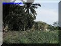 SAS--057-web.jpg