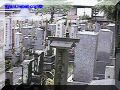 SAS--094-web.jpg
